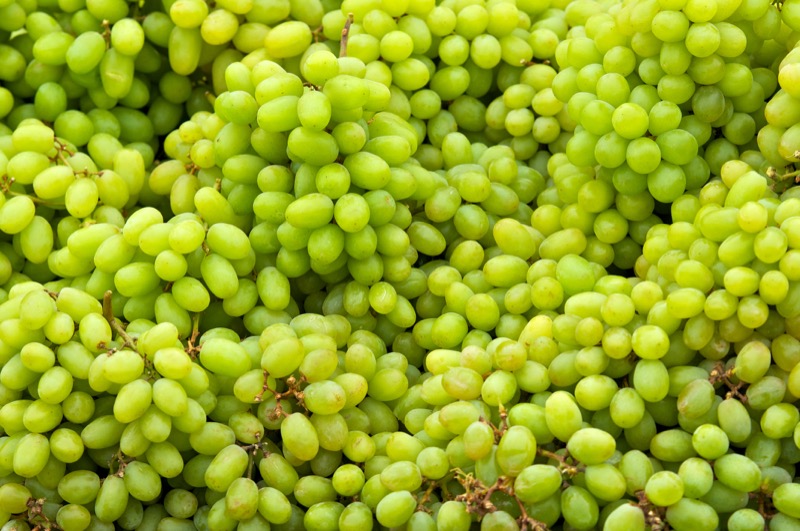 Grapes White PP
